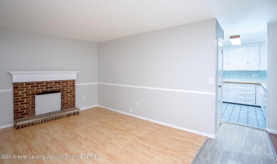 3227 Sunderland Rd, Lansing, MI 48911 - photo 5