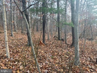 0 Comptons Ln, Great Cacapon, WV 25422 - photo 2