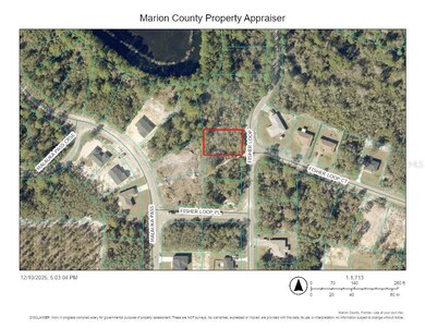 TBD Fisher Loop, Ocklawaha, FL 32179 - photo 2