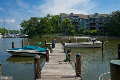 1140 Cove Rd unit 201, Annapolis, MD 21403 - photo 2