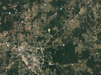 0 State Highway 19 unit 25564447, Huntsville, TX 77320 - photo 3