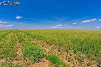 20305 Joyful View, Peyton, CO 80831 - photo 5