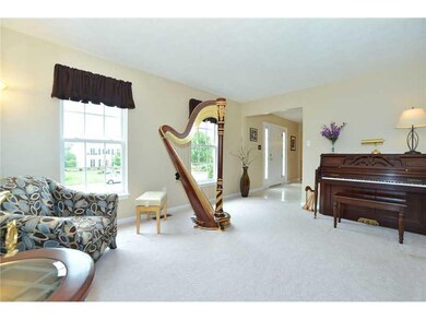 Living Room. Living room