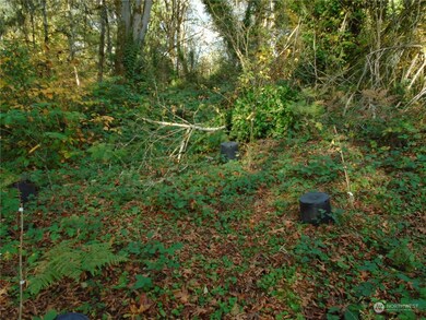 15419 296th St E, Graham, WA 98338 - photo 6