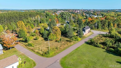 57225 3rd St, Calumet, MI 49913 - photo 3