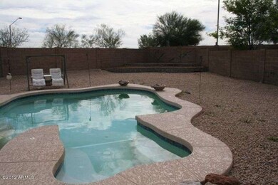 Backyard 1