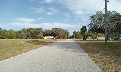 3172 N Boswell Terrace, Hernando, FL 34442 - photo 5