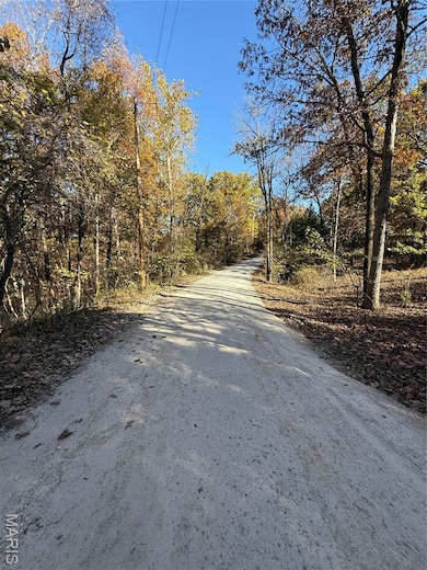 unlisted-address, de Soto, MO 63020 - photo 3