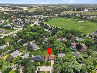 08-DJI_0939 1