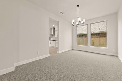 201 Horsemint Ln, Georgetown, TX 78633 - photo 7