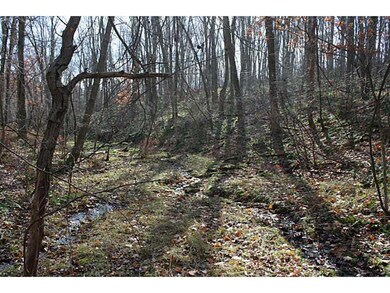 Exterior Front. Babbling brook runs through acreag