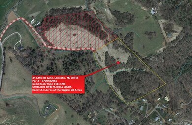 14 Old Newfound Rd, Leicester, NC 28748 - photo 2