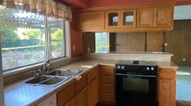 431-411702 Kitchen Sink