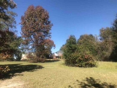 202 Winston Ct, Warner Robins, GA 31088 - photo 2