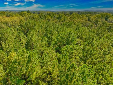 0 Capitola Rd unit 376479, Tallahassee, FL 32317 - photo 6