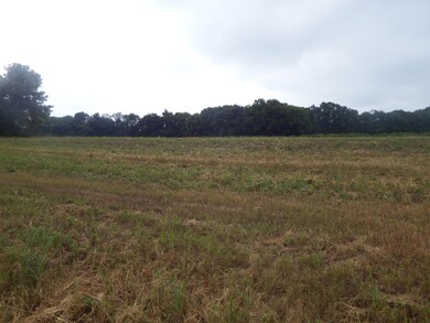 0 Ohio 104 unit Lot 1, Ashville, OH 43103 - photo 4