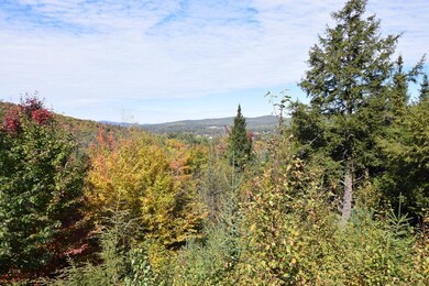 0 Steeple View Dr unit Lot 4 4779173, Bethlehem, NH 03574 - photo 6