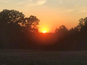 glorious sunsets
