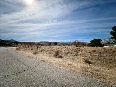 Photo Feb 15 2025, 11 57 23 AM