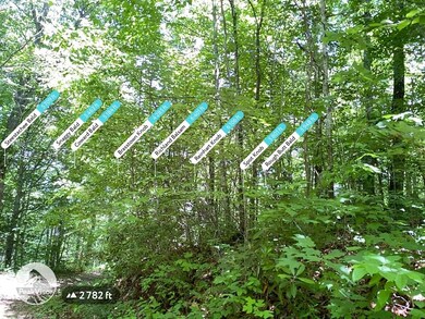 Mountain Peaks seen from one Location