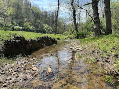 8829 Clay Rd, Left Hand, WV 25251 - photo 4