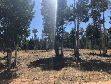 0 N Fork County Rd, Duck Creek Village, UT 84762 - photo 7