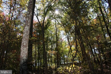 0 Sadlick Lot K Rd unit VAWR2009770, Strasburg, VA 22657 - photo 7