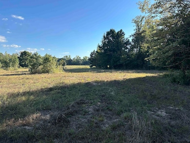 TBD County Road 3701, Murchison, TX 75778 - photo 3