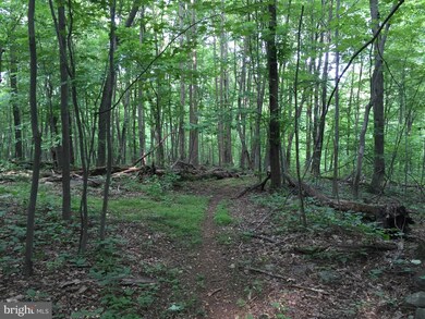 0 Mountain Rd unit 1000714757, Purcellville, VA 20132 - photo 7