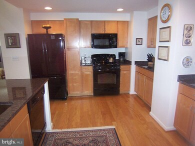 4490 Market Commons Dr unit 704, Fairfax, VA 22033 - photo 5