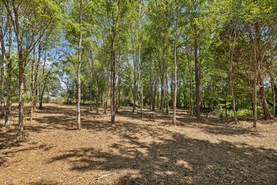 2611 Highway 48 S, Dickson, TN 37055 - photo 4