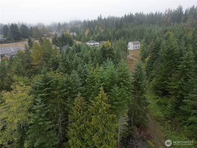 9999 Valley Creek Dr, Port Angeles, WA 98362 - photo 3