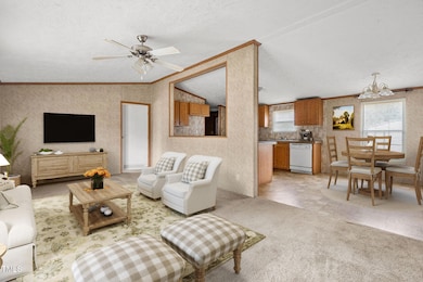 4210 Scronce Rd, Harrells, NC 28444 - photo 6