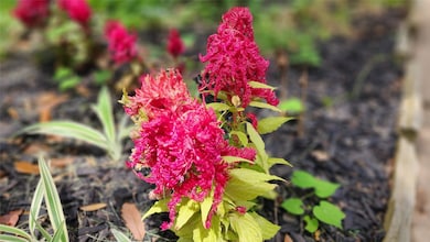 Let your imagination flow with numerous landscapin