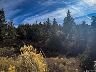 00 Jaidi Rd, Sangre de Cri, CO 81133 - photo 2