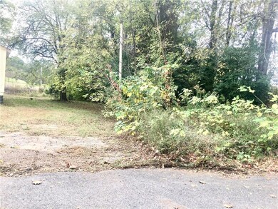 Property goes to the back fence and to the top of 