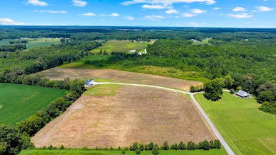 411 Bryan Rd, Hillsboro, TN 37342 - photo 5