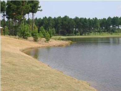 Your view of Hole #12