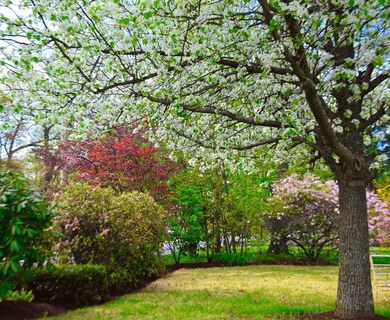 136 Holden St, Holden, MA 01520 - photo 3