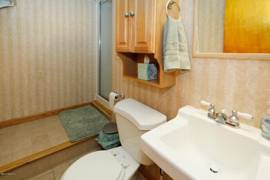 733 Forest St, Marshall, MI 49068 - photo 6