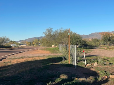 46G Ewing Trail, Tonto Basin, AZ 85553 - photo 5