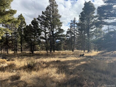 310 Morley Place, Fort Garland, CO 81133 - photo 3