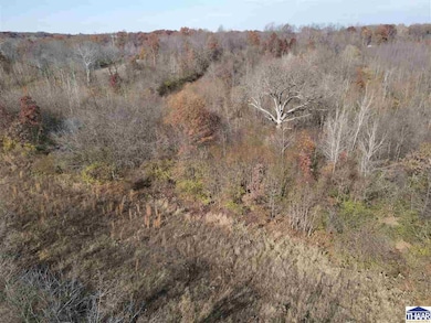 0 W Black Dr unit 108002, Sugar Creek Township, IN 47885 - photo 4