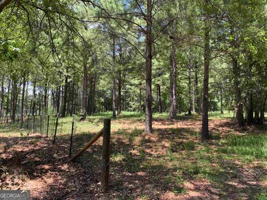 40 Anderson Rd, Griffin, GA 30223 - photo 5