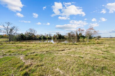 12330 Dannhaus Rd, Needville, TX 77461 - photo 5