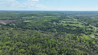 853 Calderwood Lot B Rd, Trout Creek, MI 49967 - photo 2