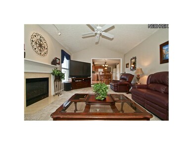 Beautiful Fireplace in the Family Room