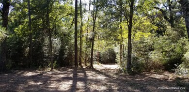 28040 Crossway Oaks, Magnolia, TX 77355 - photo 5