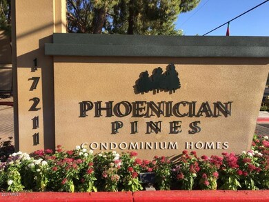 Phoenician pines front