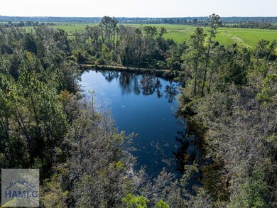 0 Rhonda Coleman Rd, Hazlehurst, GA 31539 - photo 5